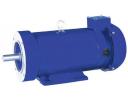 NEMA145TC DC motors